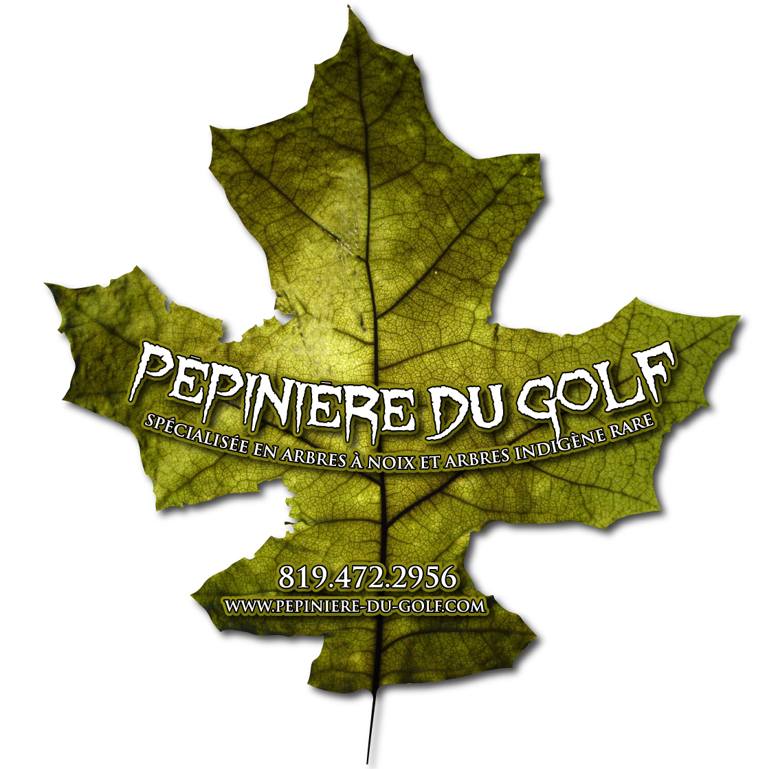 Logo Pépinière